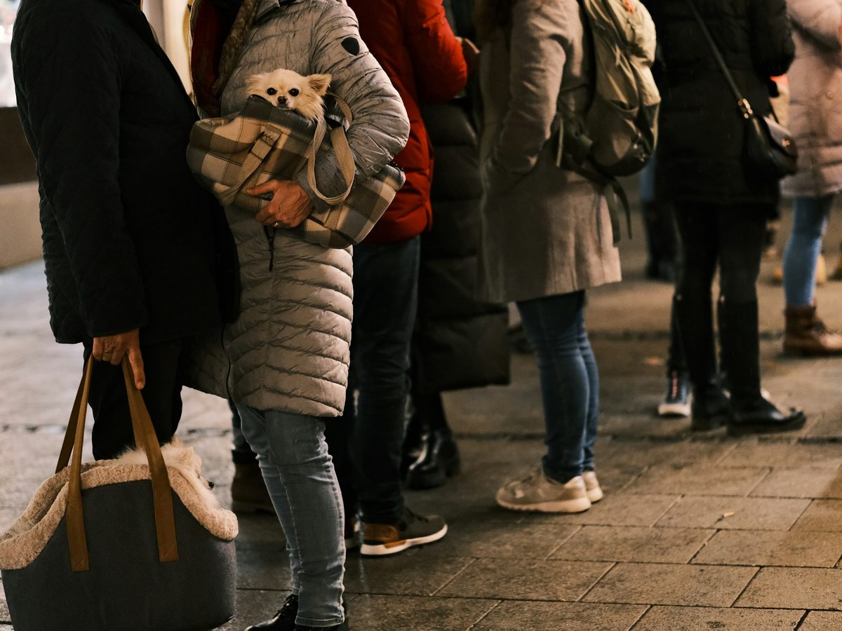 1. A line of people in winter coats, cropped below the chin. No faces.